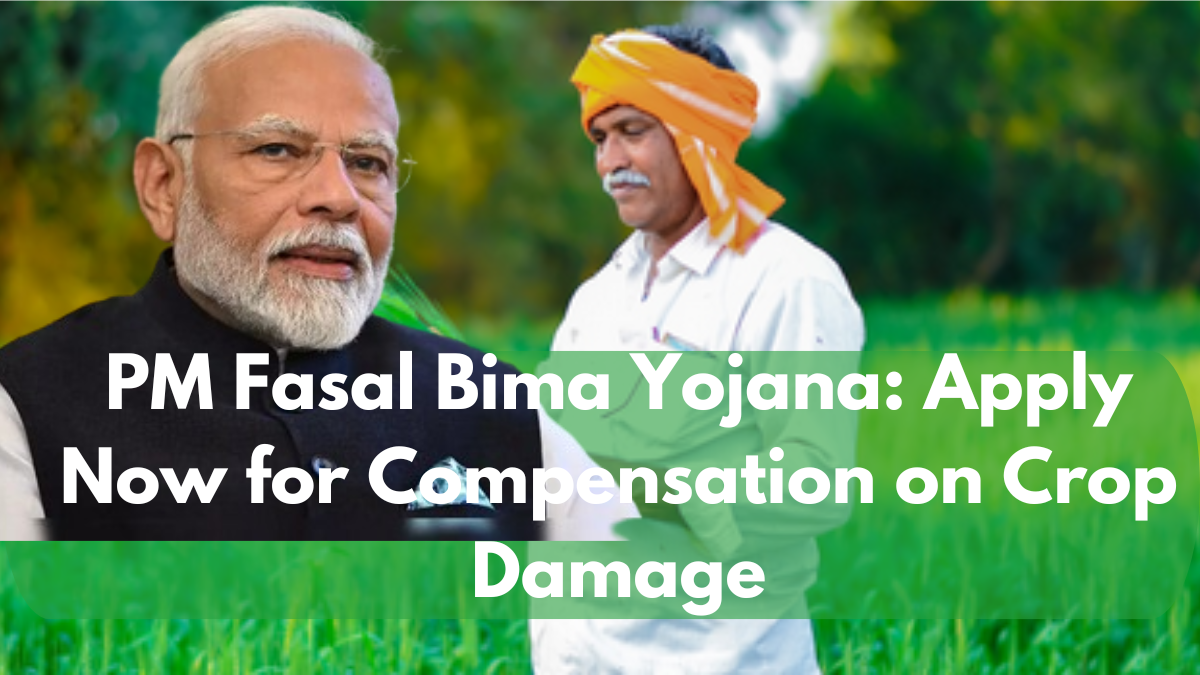 PM Fasal Bima Yojana: Apply Now for Compensation on Crop Damage from Severe Cold